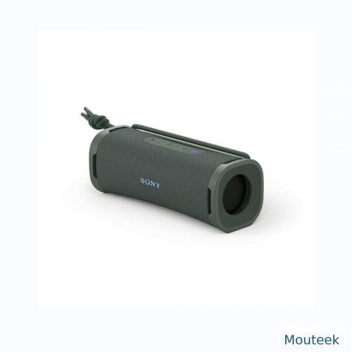 Sony ULT Field 1 gris